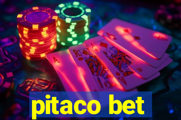 pitaco bet